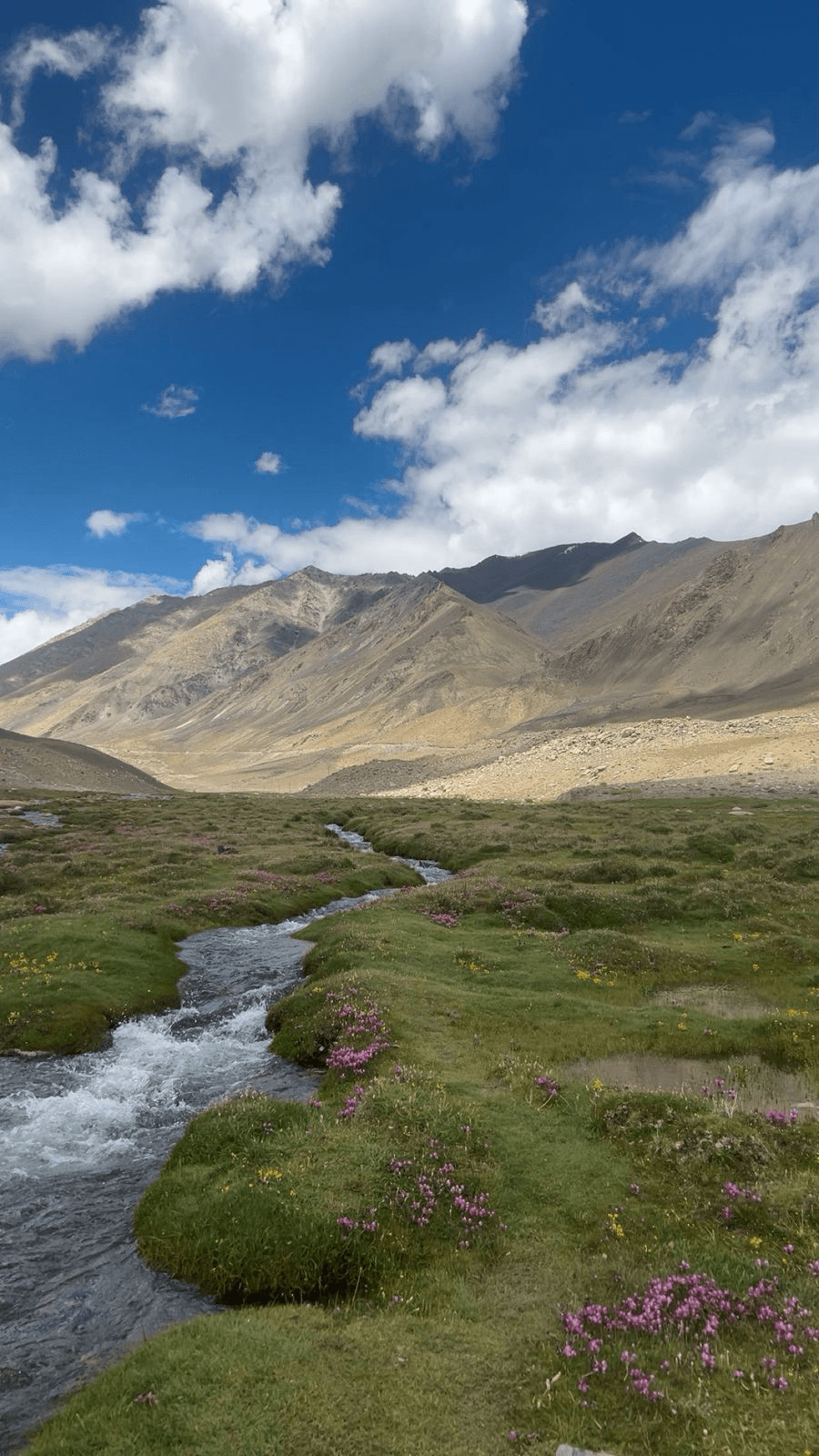 Mountains and stream in Ladakh