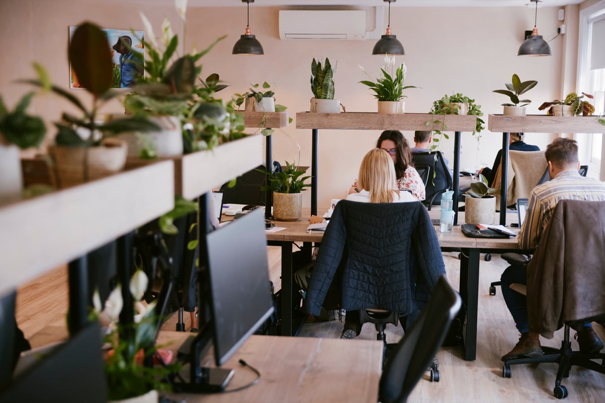 Plant-lined desks at Drop-in Richmond